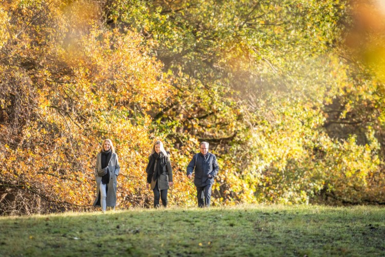 Drie mensen wandelen samen in een herfstlandschap, omringd door bomen met oranje en gele bladeren. De zon schijnt door de bladeren, wat een warme gloed aan de scène geeft.