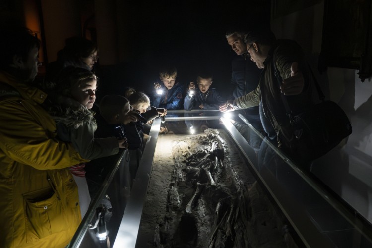 Een groep mensen, waaronder kinderen, kijkt met zaklampen naar een opgraving in een glazen vitrine. De omgeving is donker en de focus ligt op het blootgestelde skelet dat in de vitrine ligt.