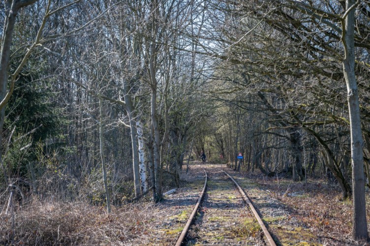 Een smal spoorwegtraject omringd door bomen en struiken, met een heldere lucht op de achtergrond. In de verte is een persoon zichtbaar die langs de rails loopt.